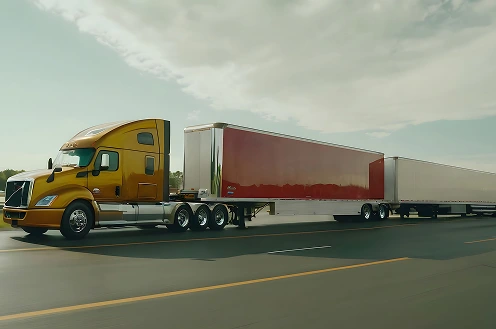 s31